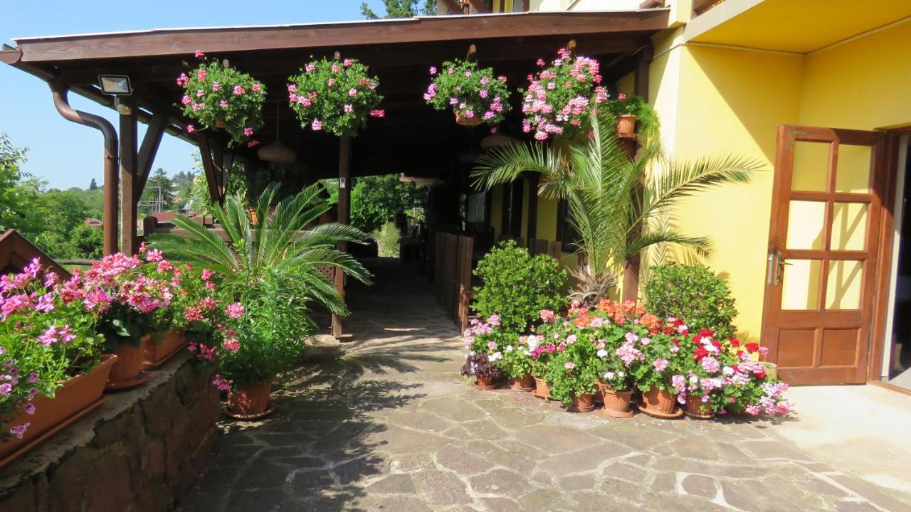 Prima Porta Vendeghaz Hotel Balatonalmádi Exterior foto